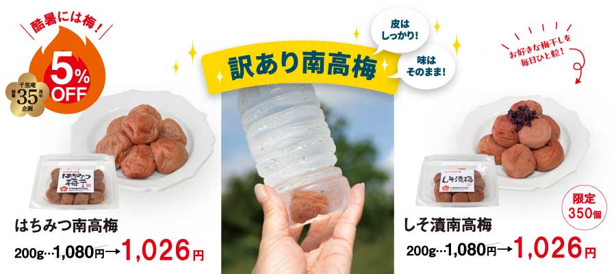 紀州南高梅 訳あり はちみつ梅 3kg しそ漬け梅1kg セット 訳あり はちみつ梅 しそ漬梅 各200g | 全ての商品 | 梅干し通販の店